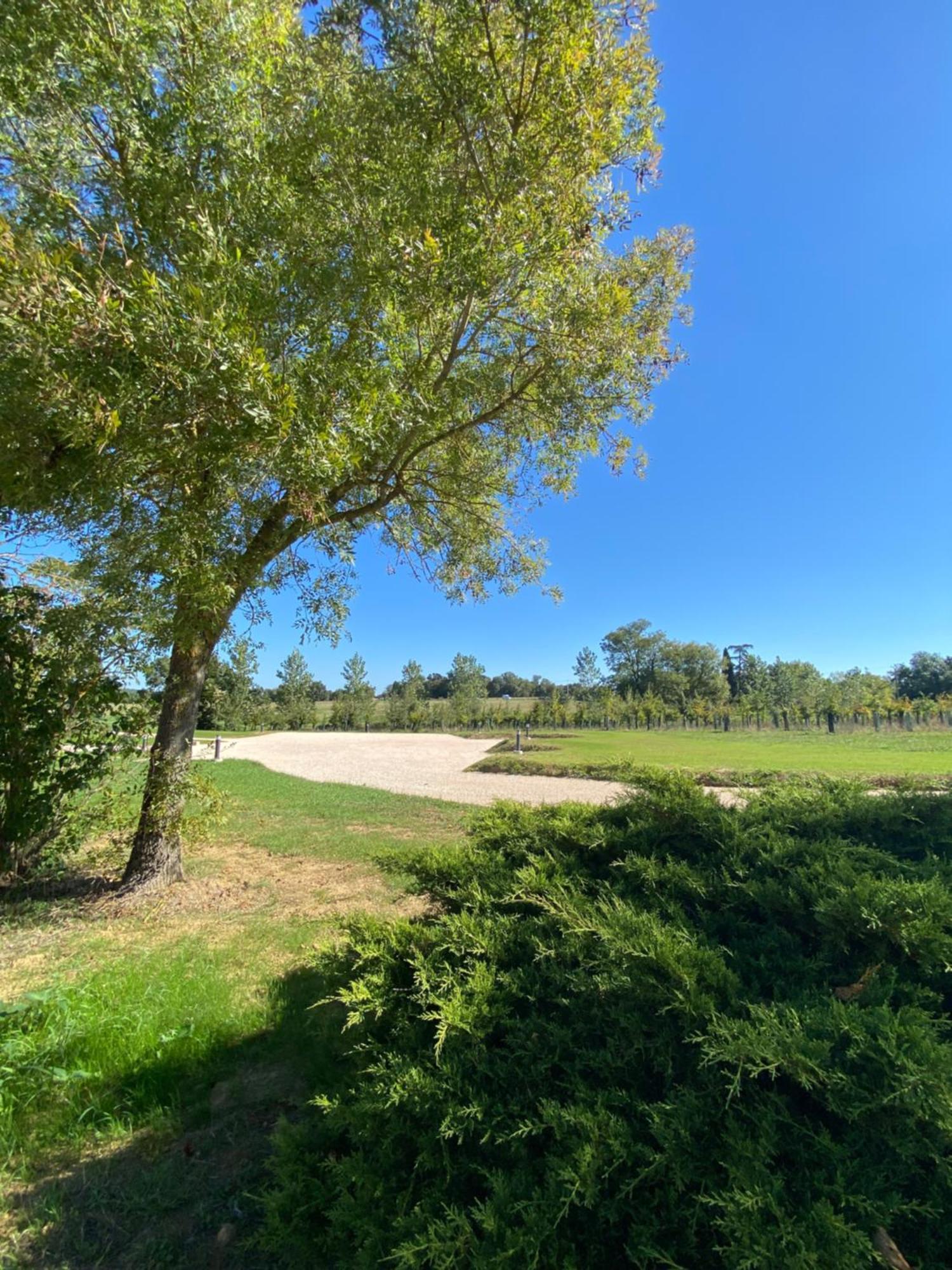 Gite Clara - Domaine Du Catalan Aubiet Buitenkant foto